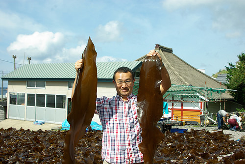 ２０１４年産北海道函館がごめ昆布