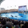 名古屋港水族館と名古屋城