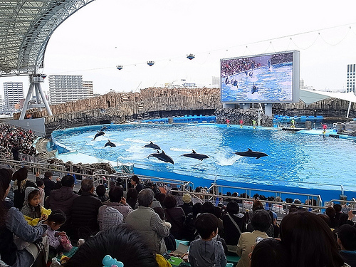 名古屋港水族館と名古屋城