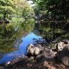 静岡縣護国神社でアートクラフトフェア