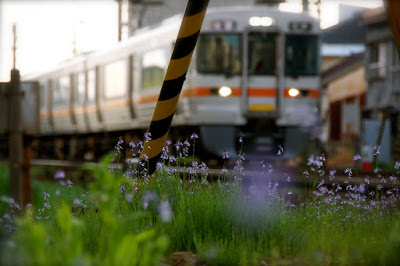 Nikon D300sで初鉄