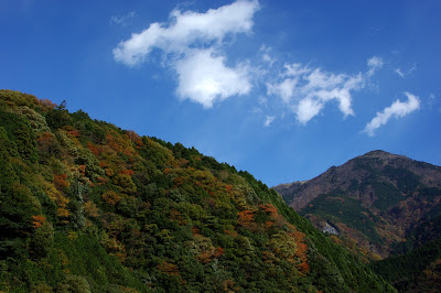 静岡梅ヶ島の紅葉