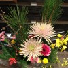 今年もよろしくお願い致します。