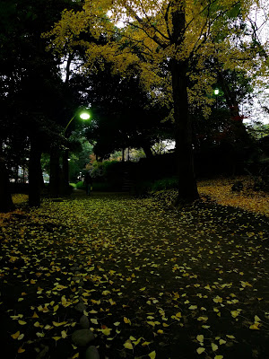 日比谷公園の小径