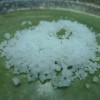夏は体からどんどん塩分が抜けてゆく・・・