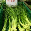 野蒜（のびる）しってますか？