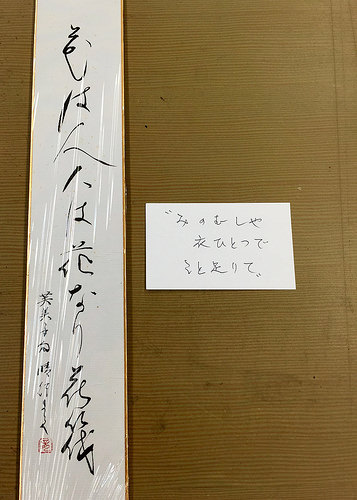 【今日のお客様！】花は人、人は花なり花筏