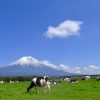 僕らのGWは笑っちゃう位良い天気でした