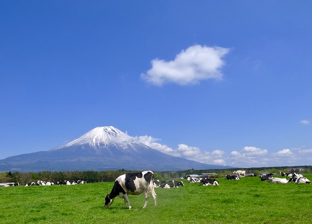 僕らのGWは笑っちゃう位良い天気でした