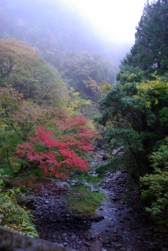 須津川渓谷