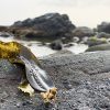 函館の浜にあった海中温泉