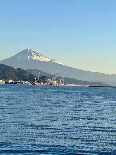 謹賀新年