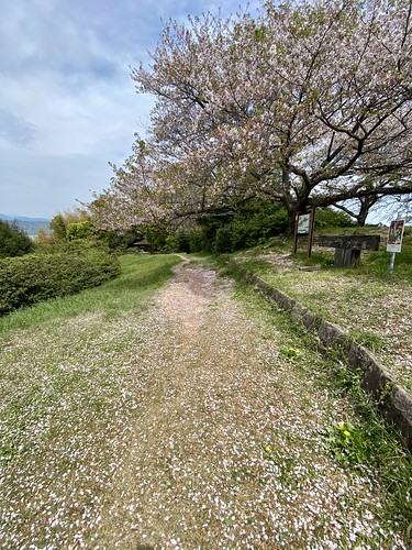 実は初めて・・・💦谷津山縦走