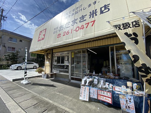 「倫代」＝「みちよ」と読みます
