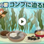 やっと全国放送で特集番組かな・・