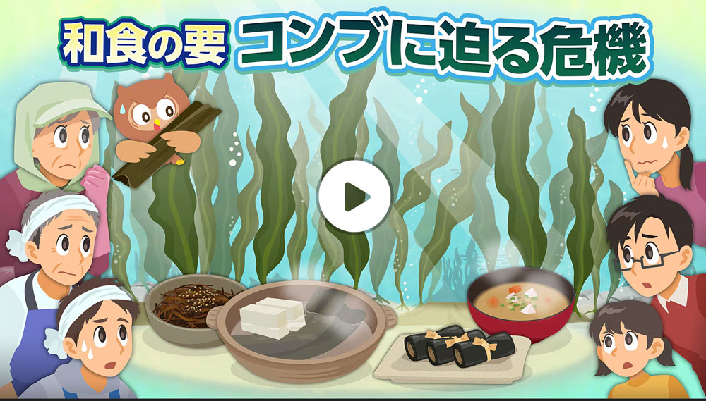 やっと全国放送で特集番組かな・・