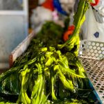 If you want to buy kelp,seaweed, shiitake mushrooms, and dried bonito flakes in Shimizu, go to JIROCHOYA
