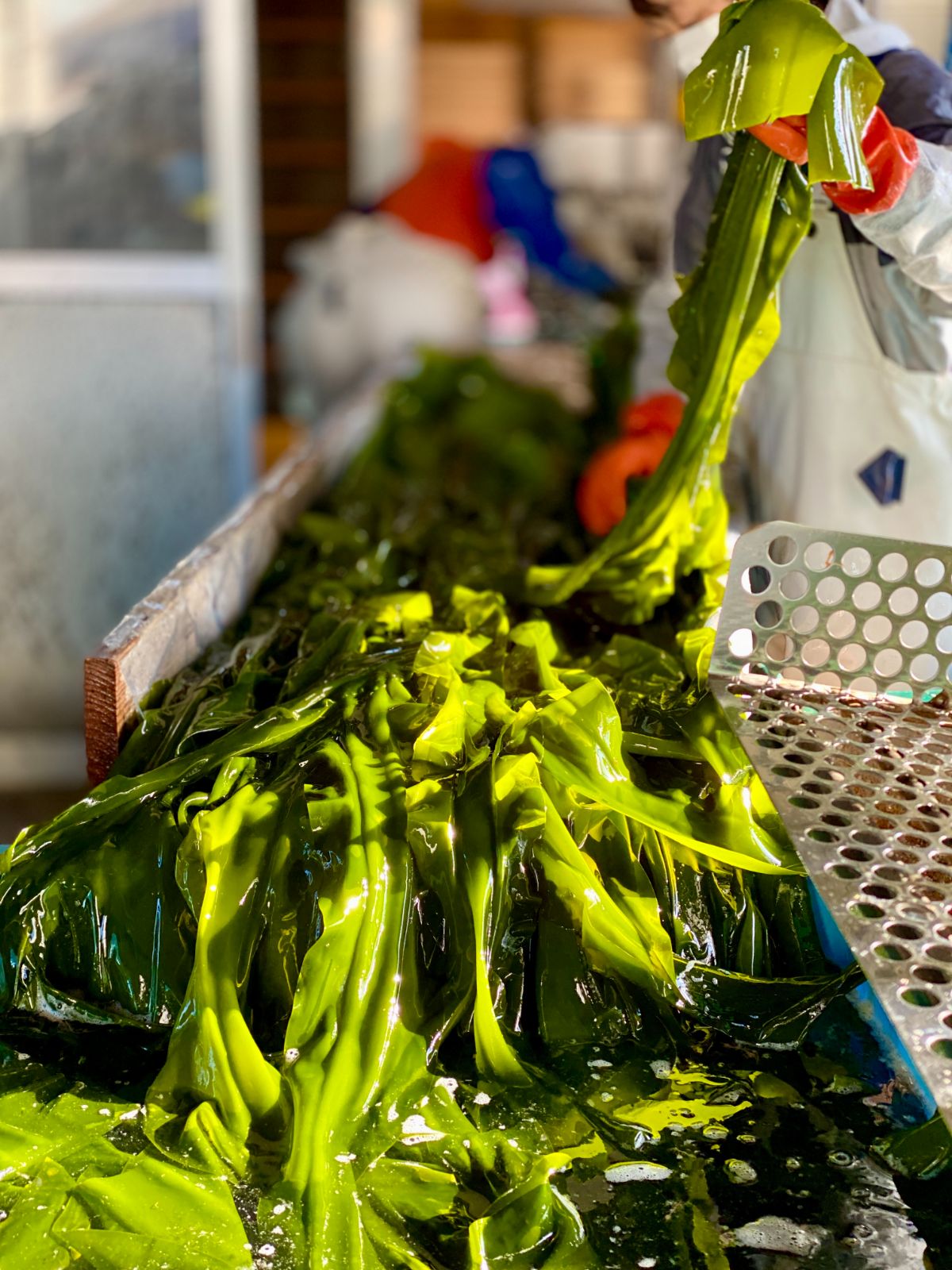 If you want to buy kelp,seaweed, shiitake mushrooms, and dried bonito flakes in Shimizu, go to JIROCHOYA