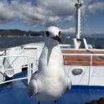 富士山清水みなとクルーズをタダ乗り！