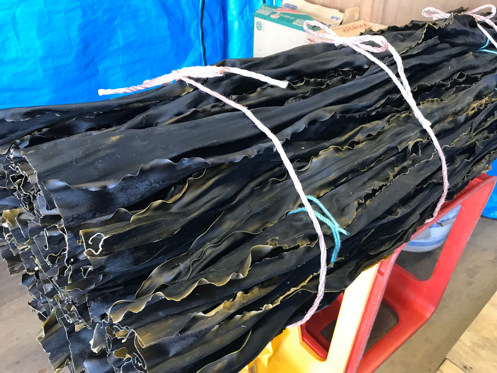 井寒台昆布２