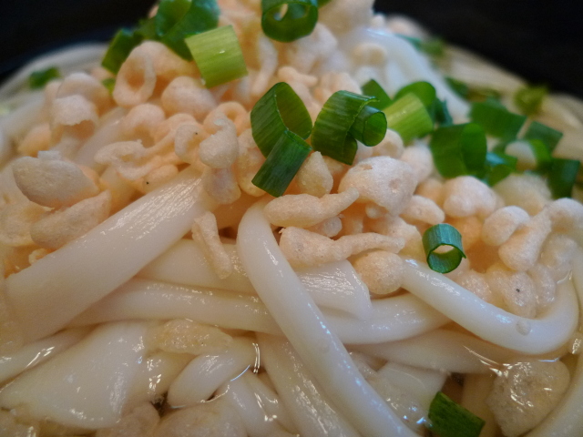 船波製麺所うどん