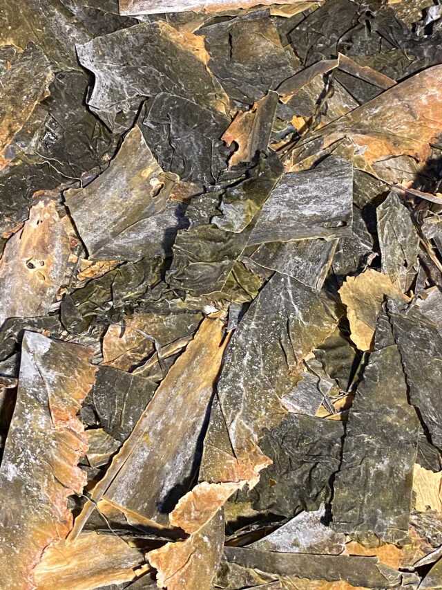 羅臼切り出し昆布