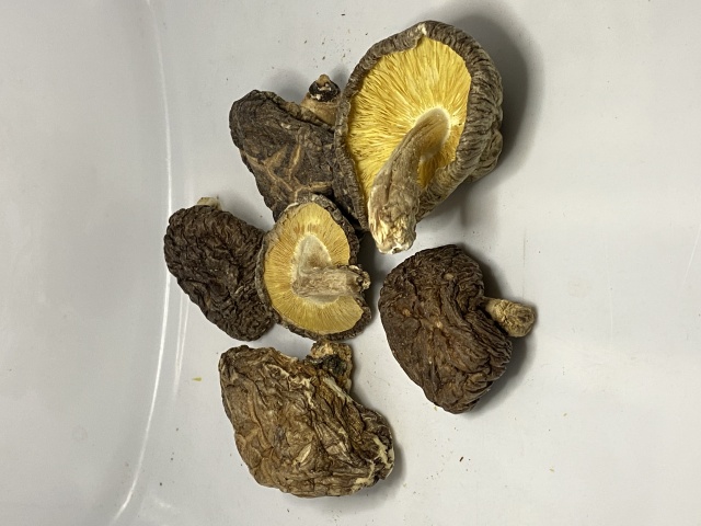 椎茸香信