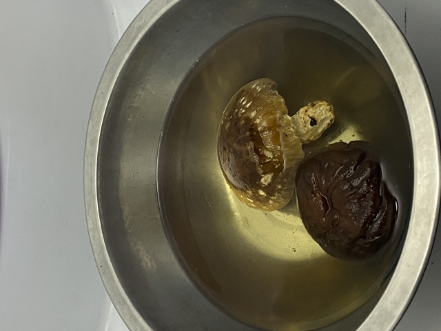 椎茸香信