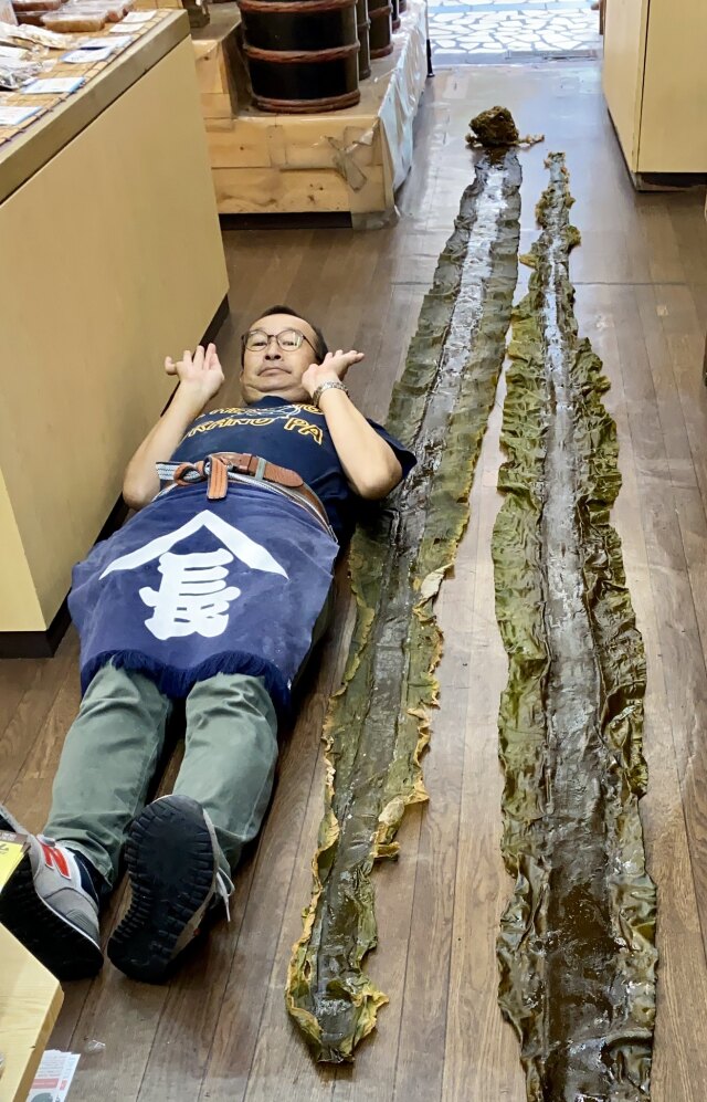 函館促成真昆布