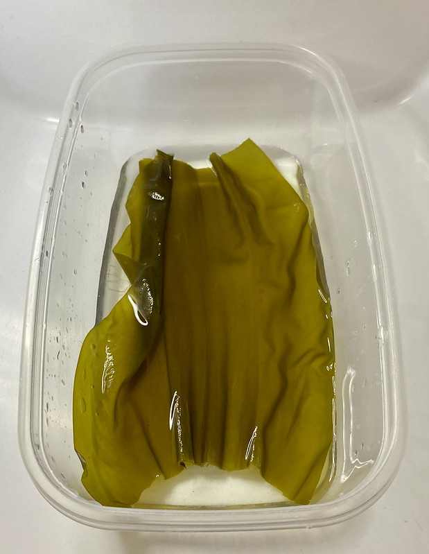 真昆布早採り