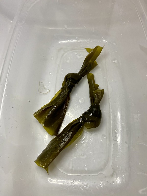 真昆布早採り